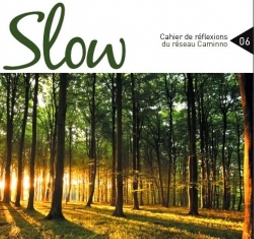 Benjamin Pavageau publie un article au sein de la revue Slow