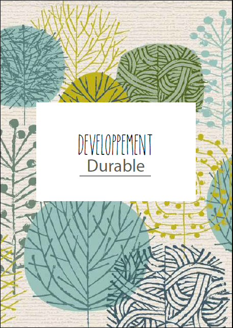 Couverture DDD4