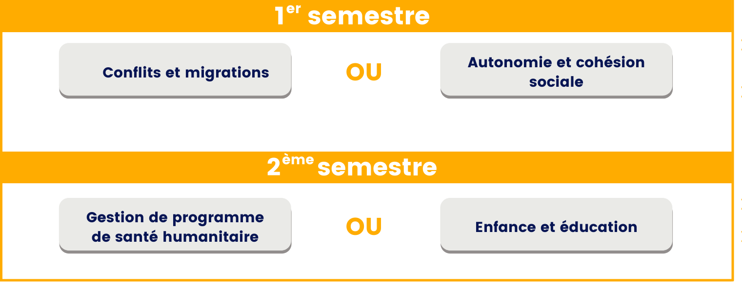 L&rsquo;heure des choix a sonné pour les étudiants en Management de la Solidarité internationale !