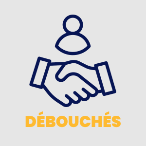 Débouchés possibles après le master Management Solidarité internationale et Action sociale